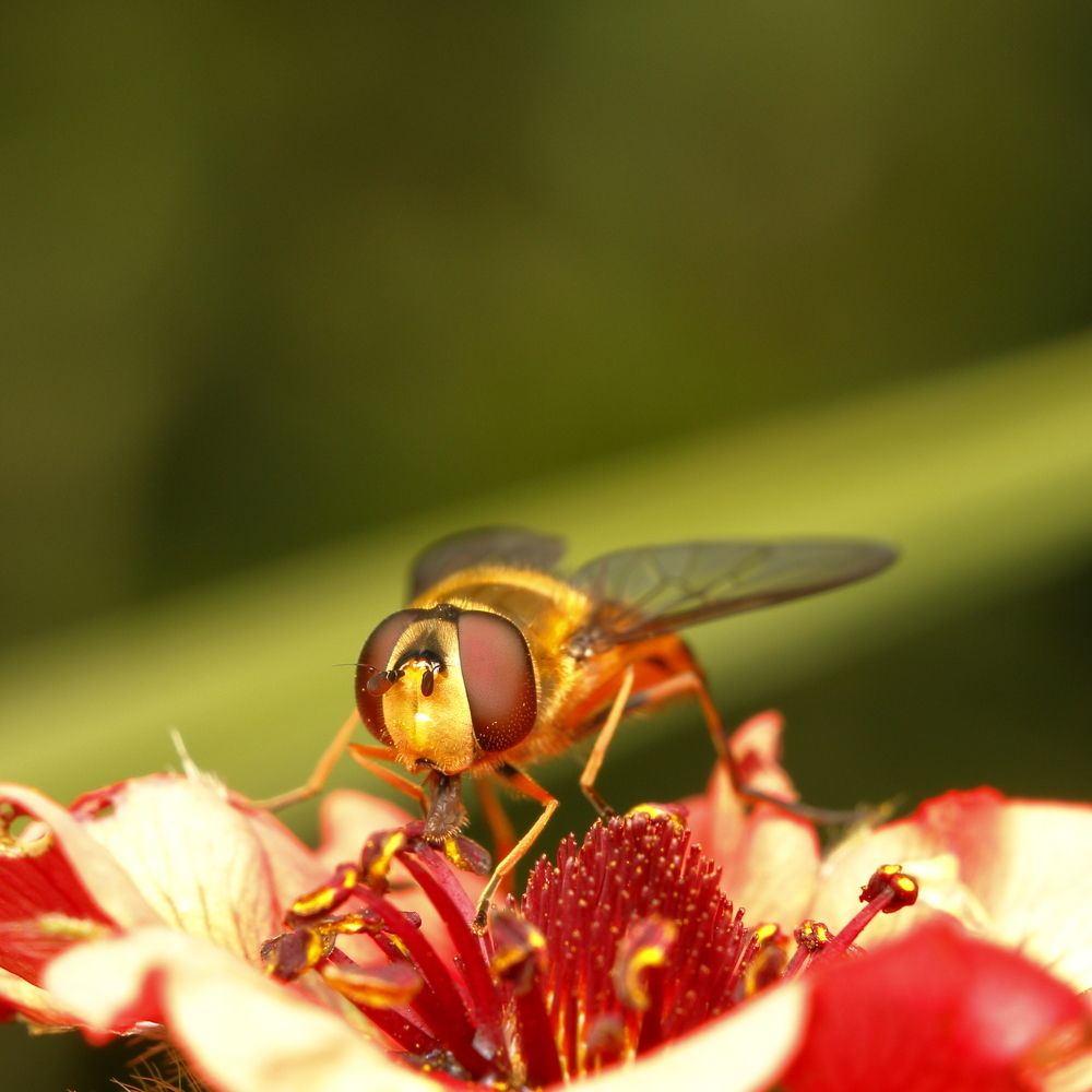 Photograph by Виктор Ноговицин