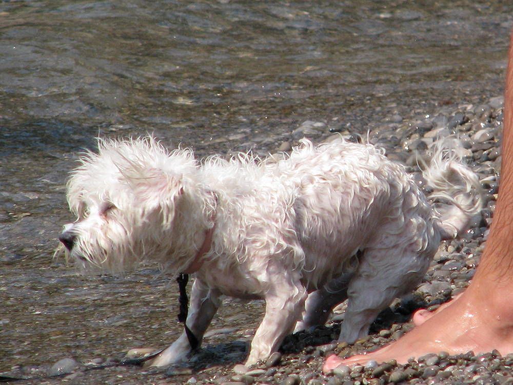 Photograph by Жанна Нечаева