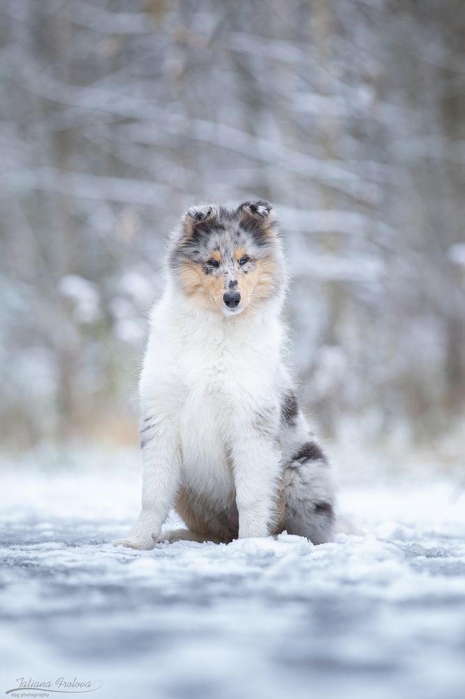 Фотография автора Татьяна Фролова