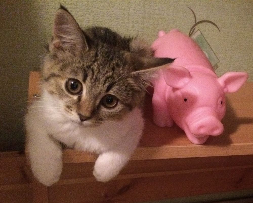 Photograph by Яна Цицилашвили