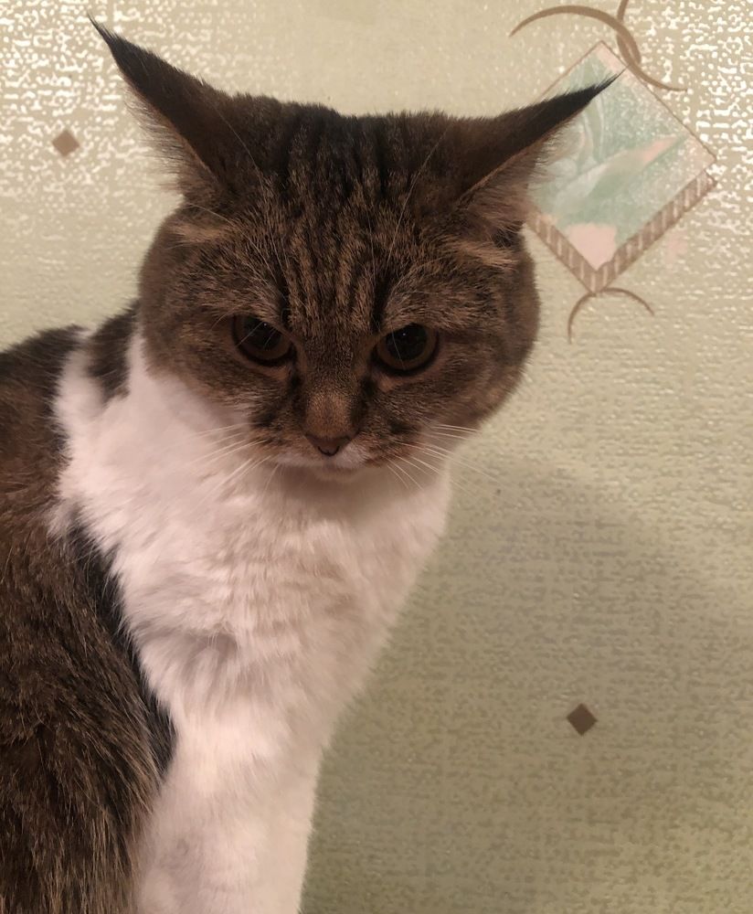 Photograph by Яна Цицилашвили