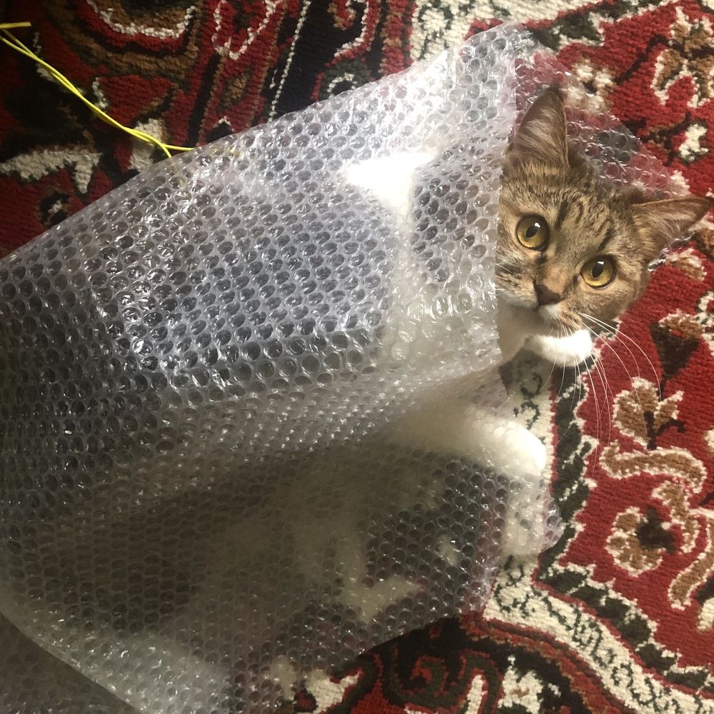 Photograph by Яна Цицилашвили