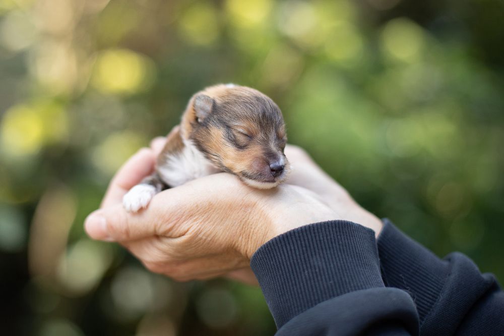 Фотография автора Татьяна Фролова