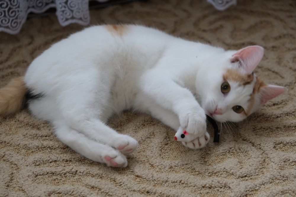 Photograph by Александр Денисов