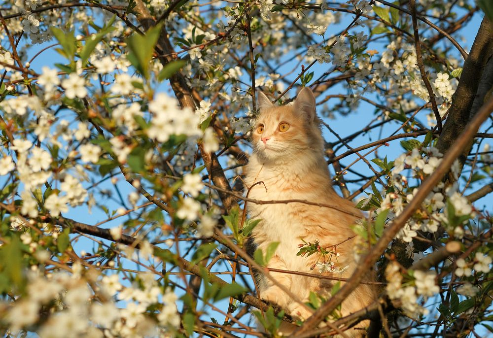 Photograph by Александр Денисов