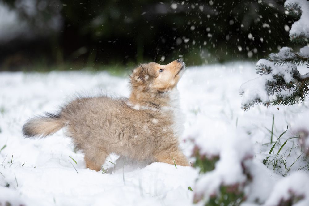 Фотография автора Татьяна Фролова
