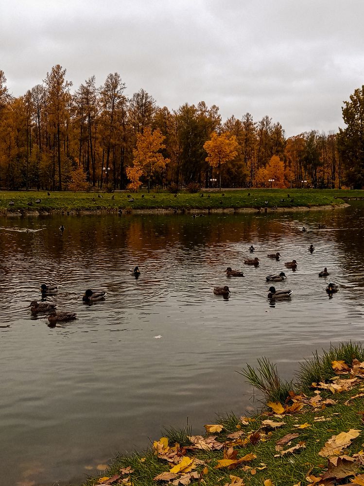 Photograph by Вероника Селюн
