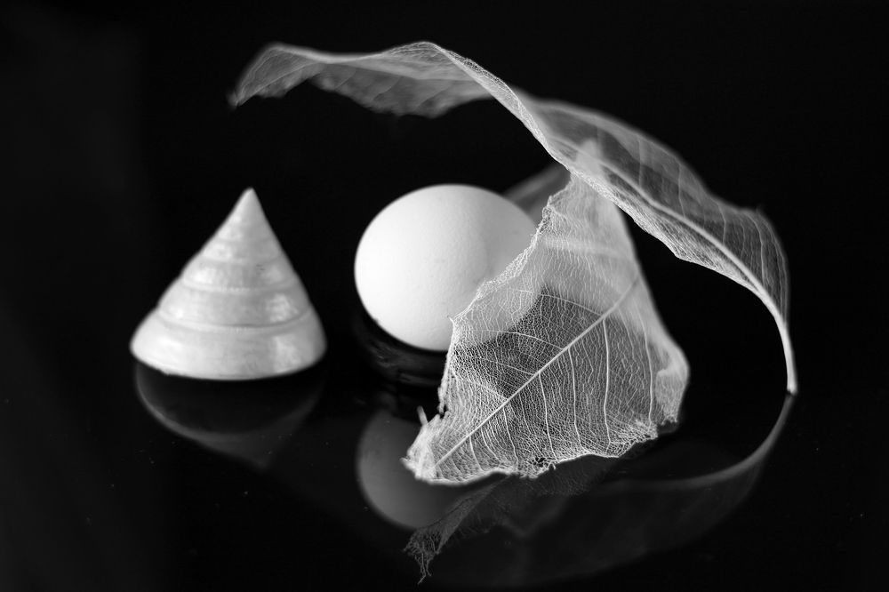 Хрупкость бытия.