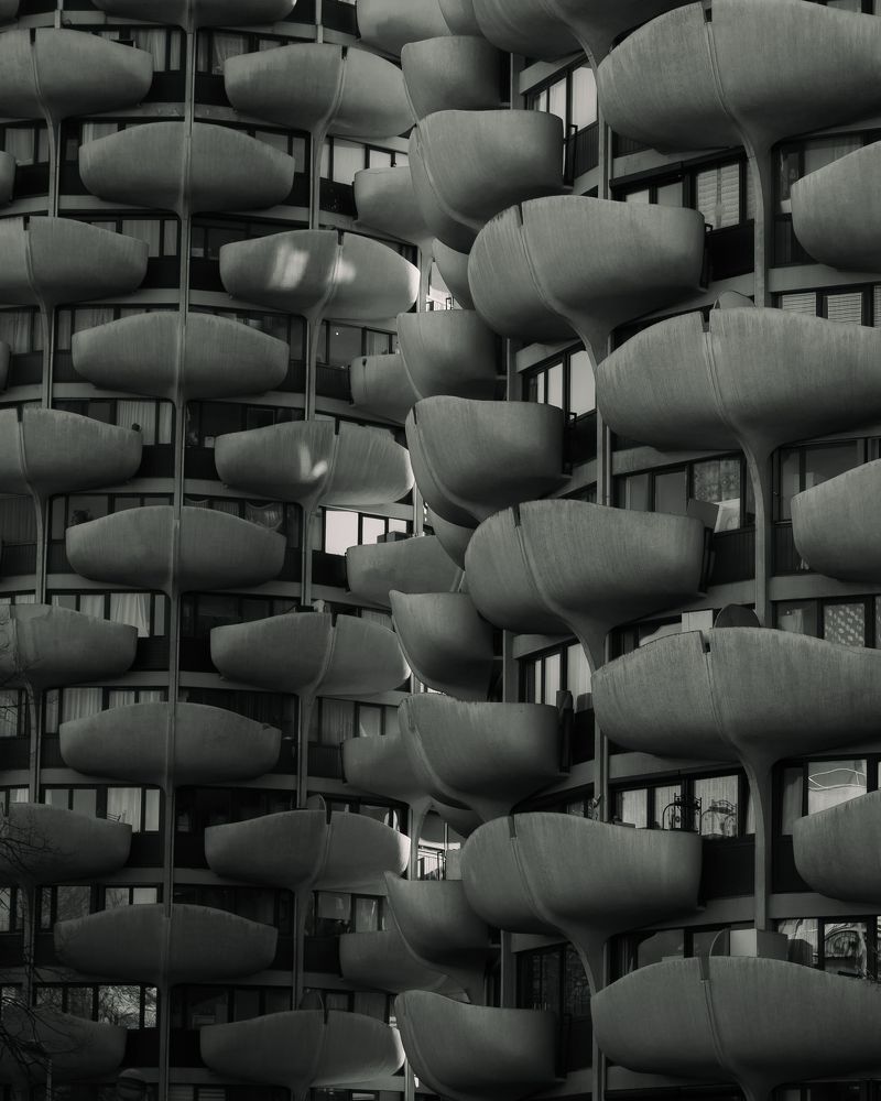 Photograph by Christopher Cerna