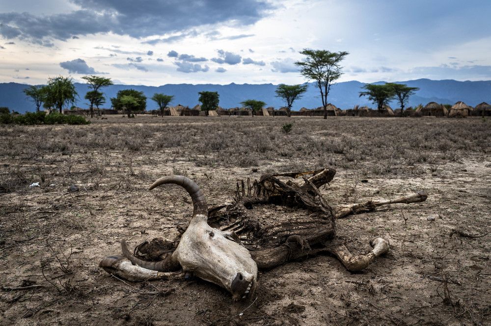 Water scarcity | Ethiopia
