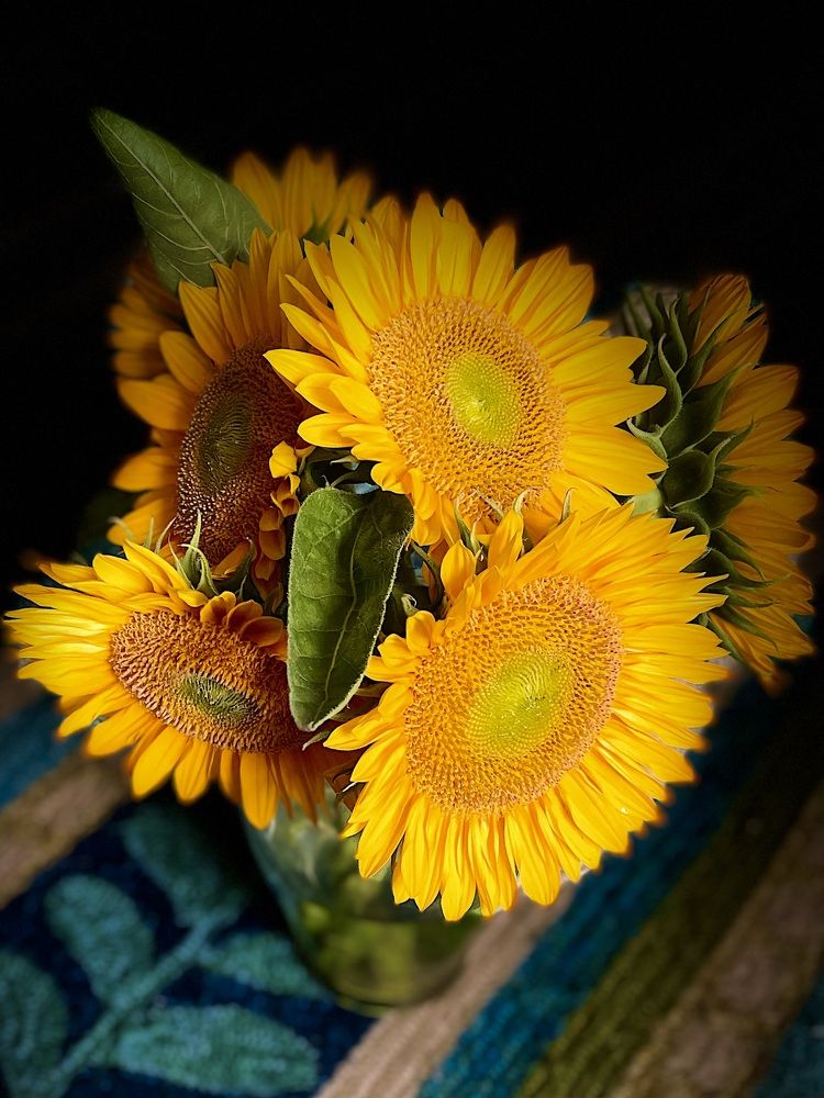 Фотография автора Olga Andriuc