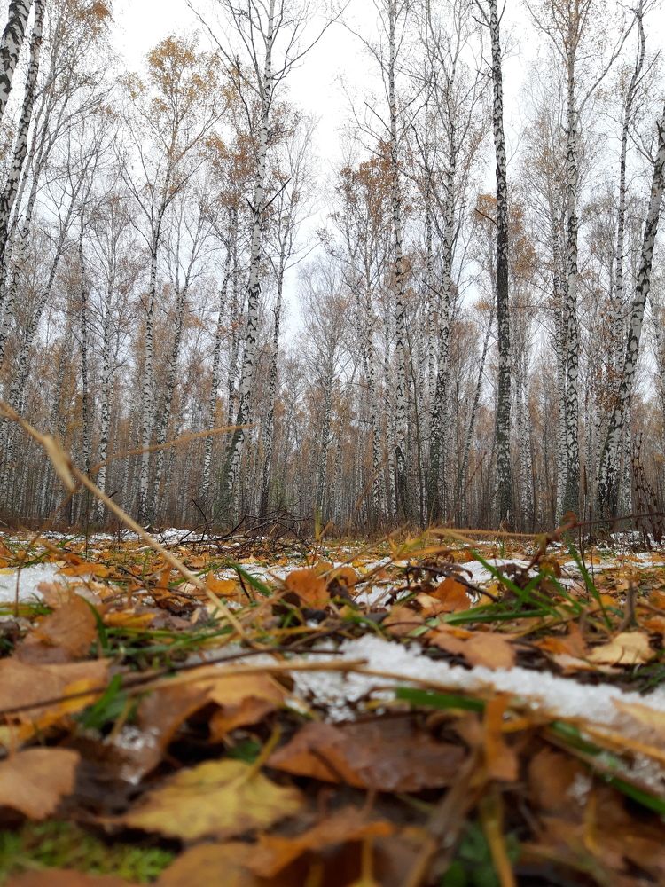 Photo #9783163