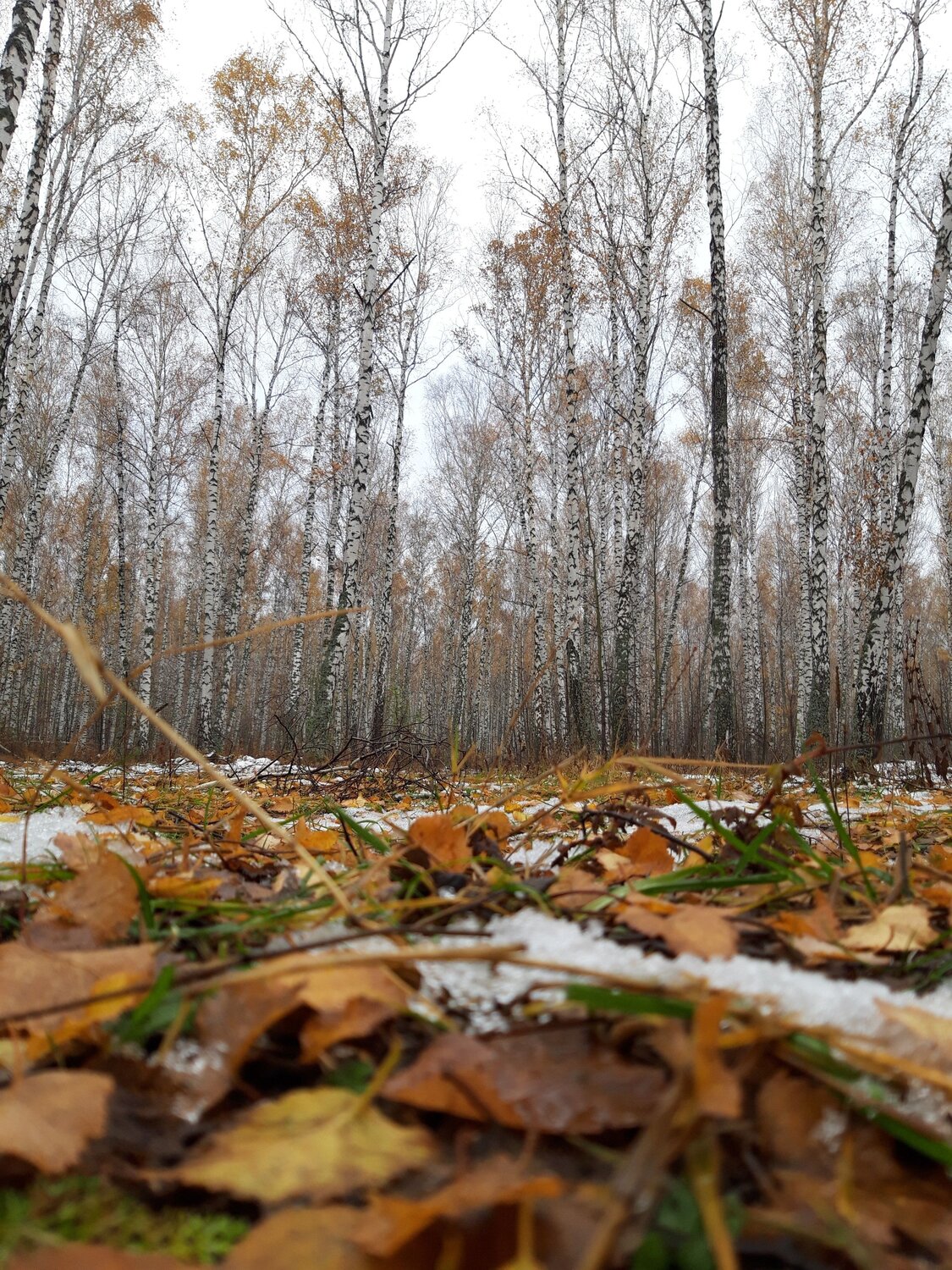 Photo #9783163