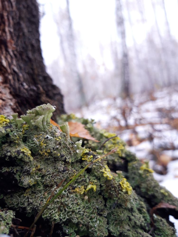 Photograph by Гузель