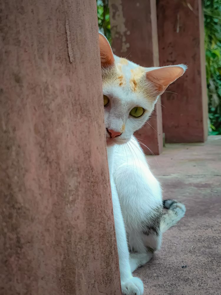 Photograph by Bikramjit Maity