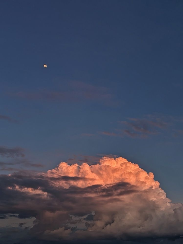 Photograph by Stiven