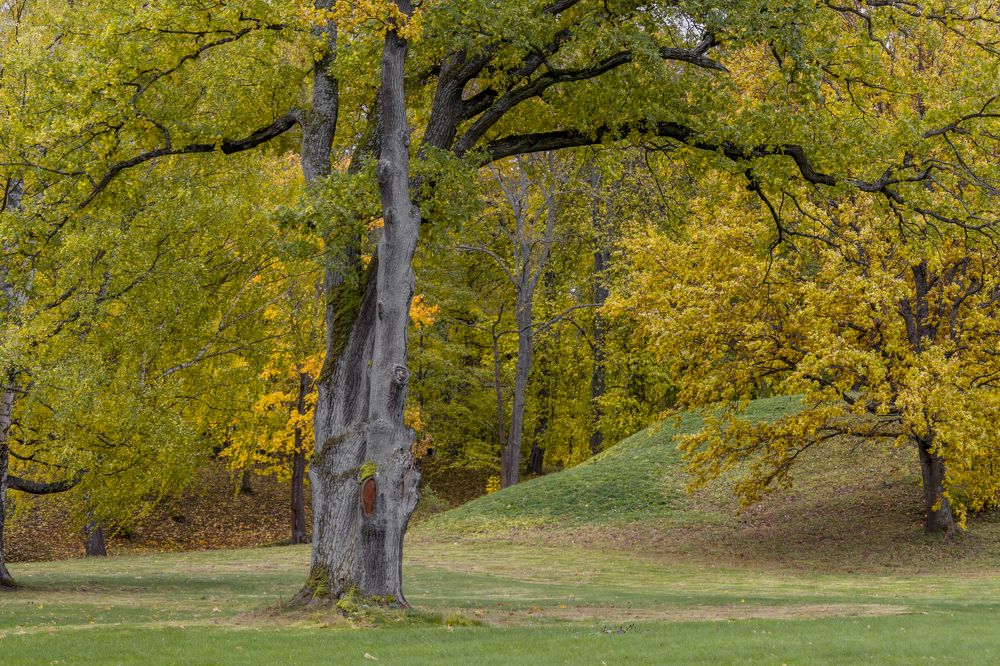 Photograph by Sergey Paramonov