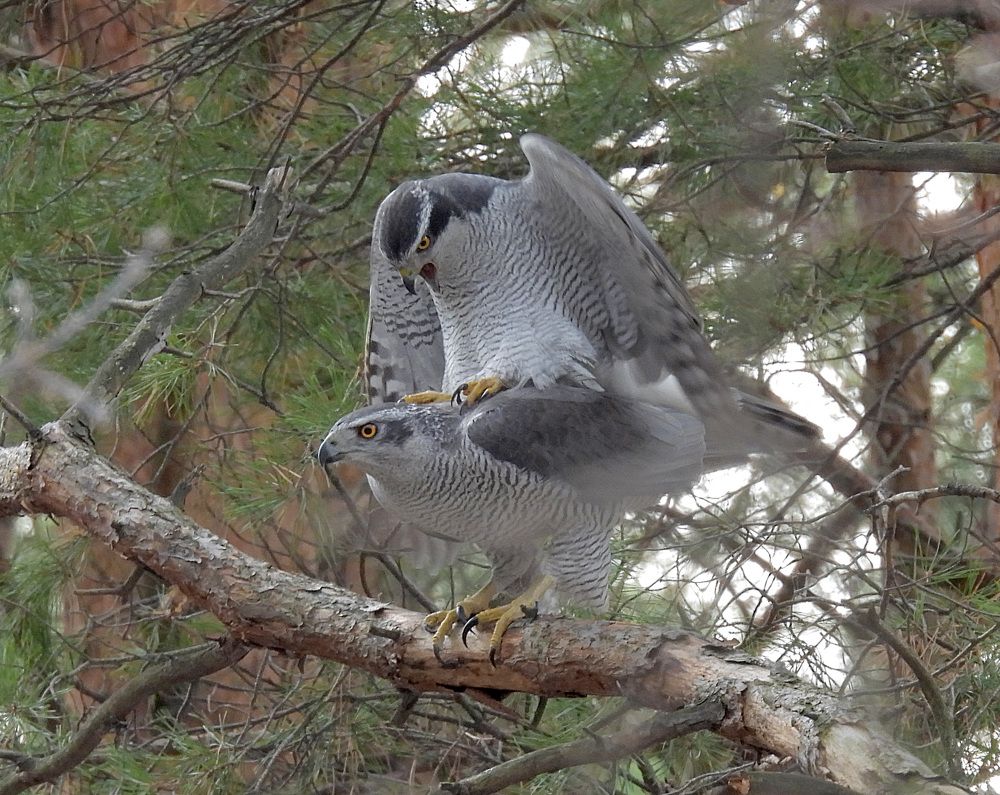 Photograph by Юмашев Олег