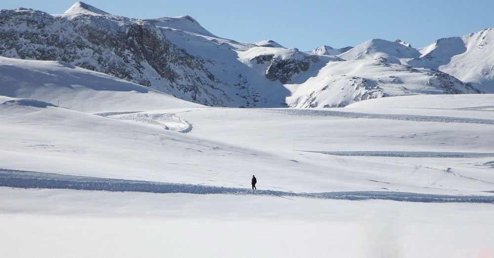 Photograph by Наталья Задерновская