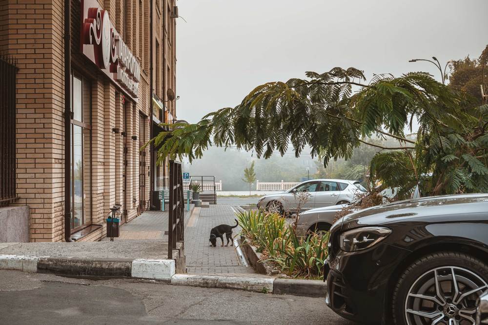 Утро на главной улице.