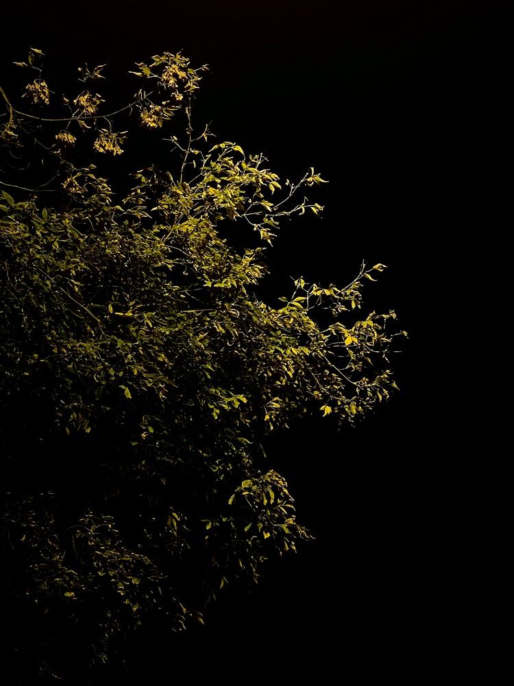 Фотография автора Елизавета Стороженко