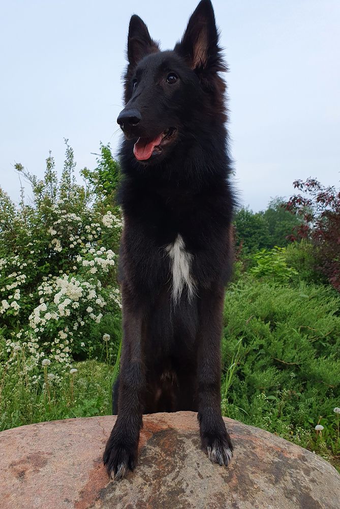 Фотография автора Надежда Лисицына