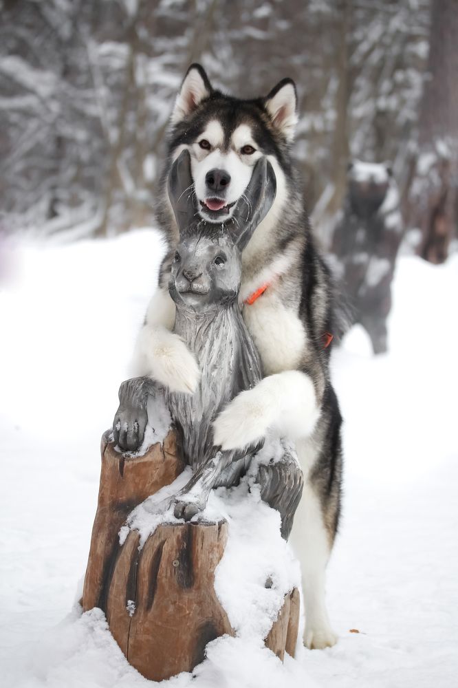 Photograph by Наталья Гайдукевич