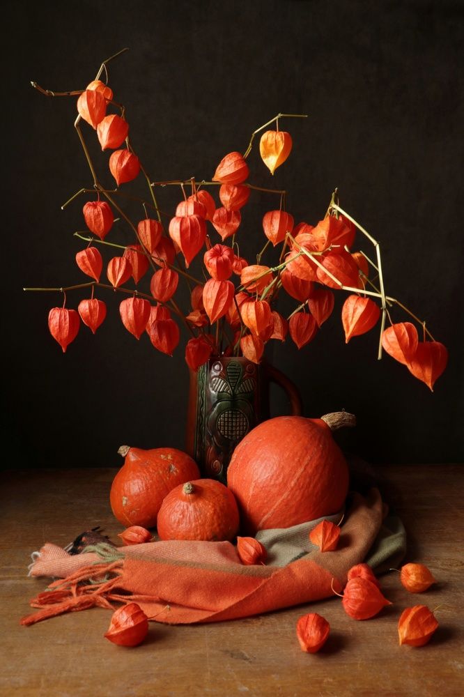 Photograph by Елена Коврижных