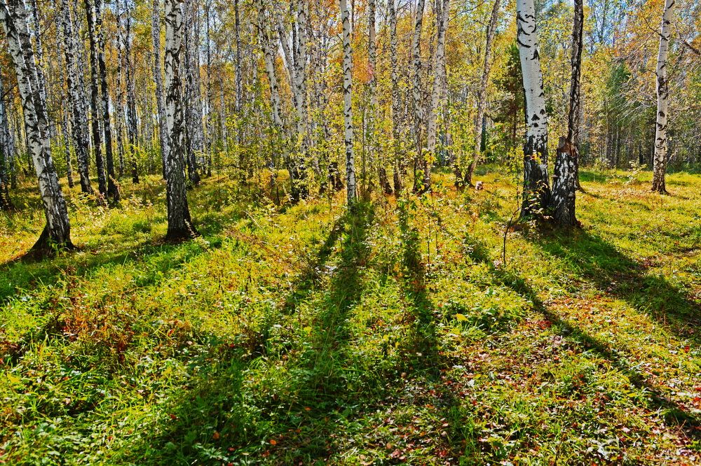 Photograph by Andrey