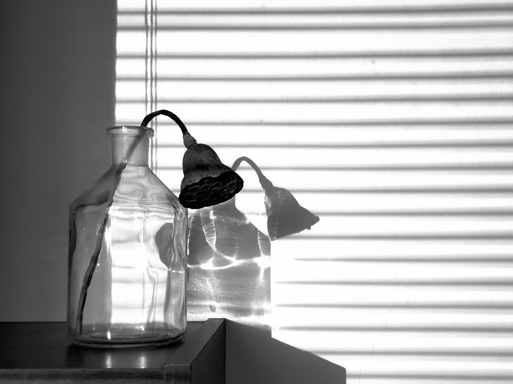 Photograph by Владимир