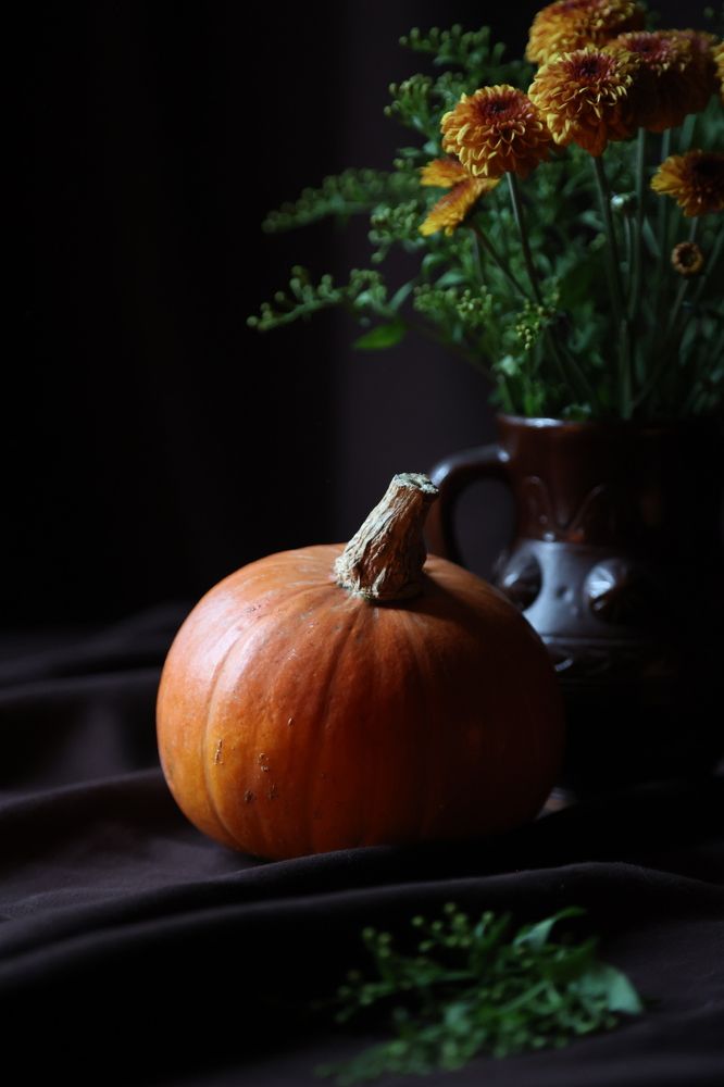 Фотография автора Алина Ефимова