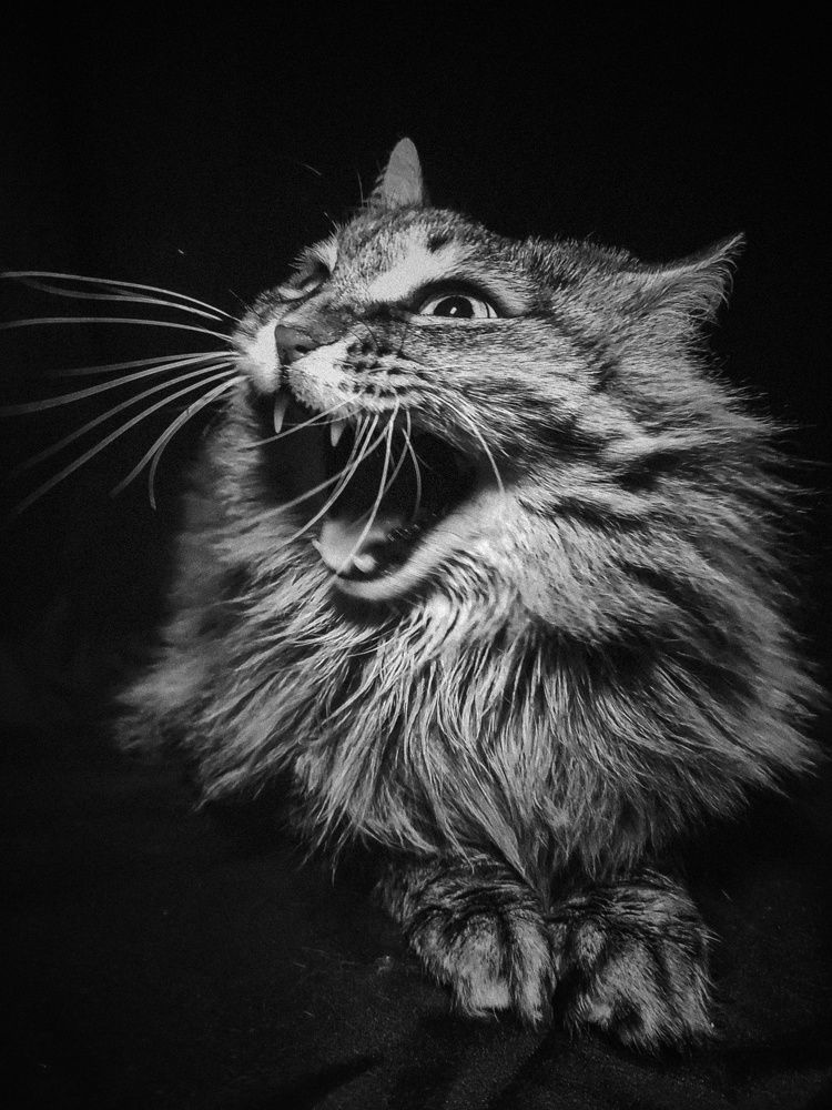 Photograph by Ольга Владимировна