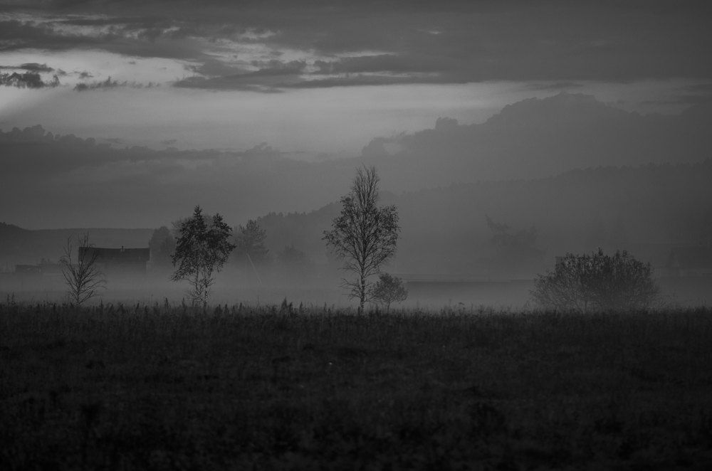 Photograph by Светлана Усова