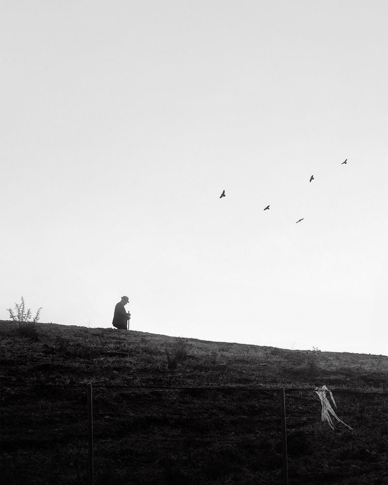 Photograph by Farzad Ajori