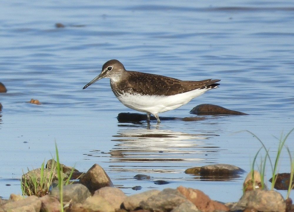 Photograph by Владимир Джерихов