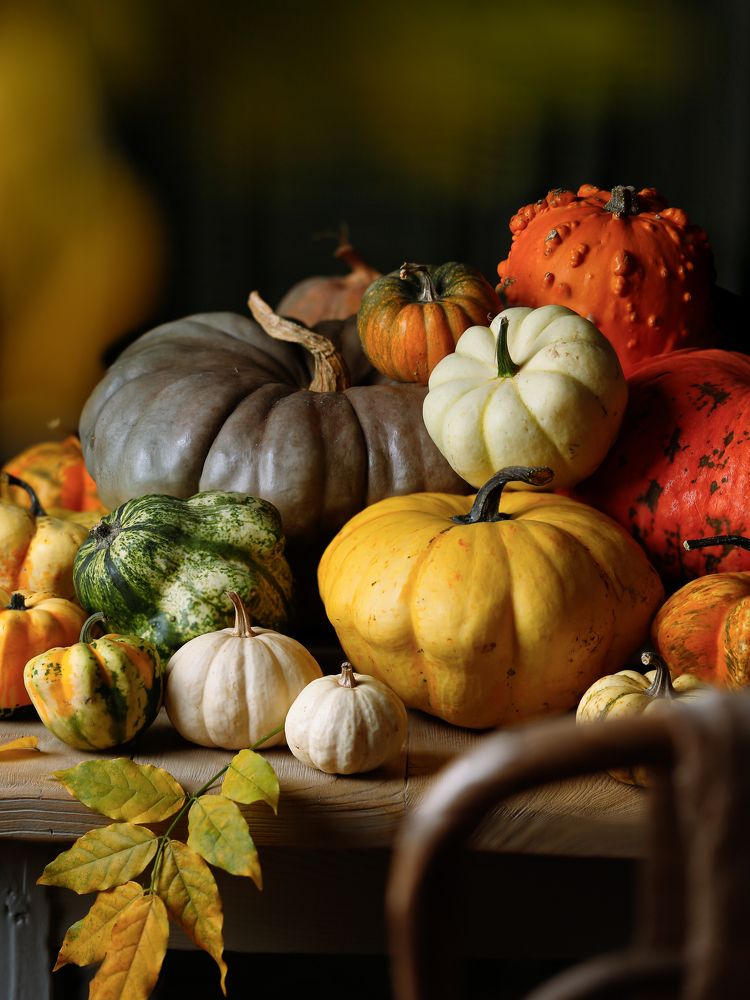 Photograph by FEDORENKOVA OLGA