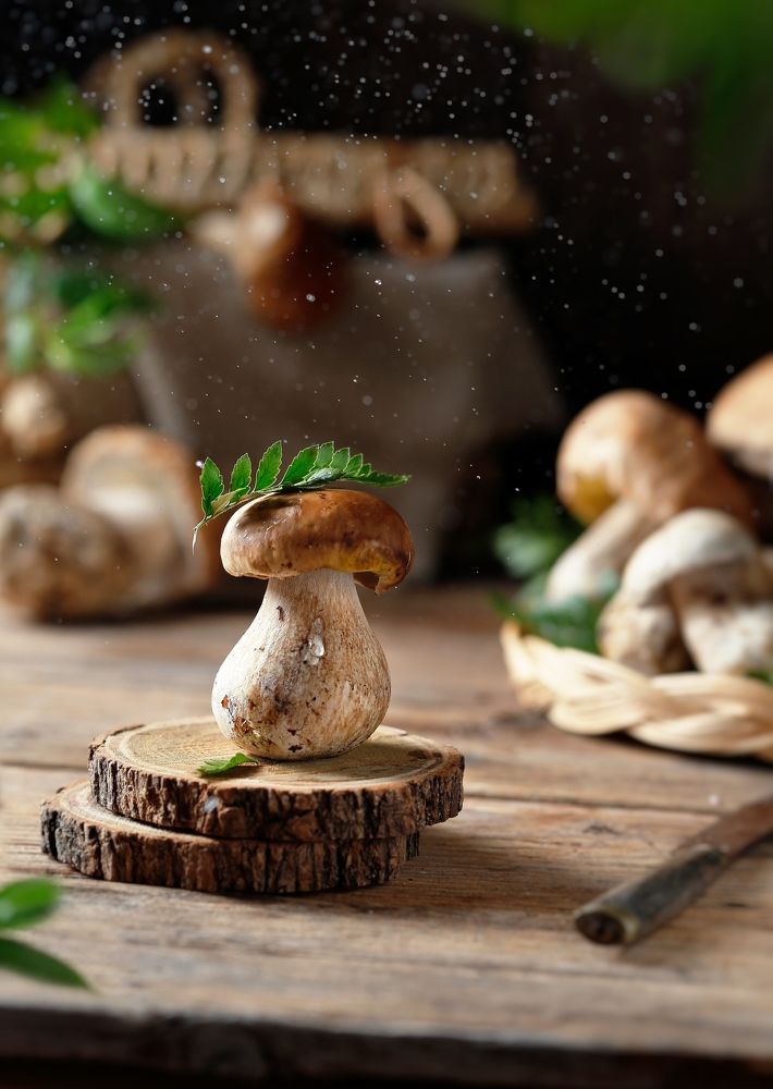 Photograph by FEDORENKOVA OLGA