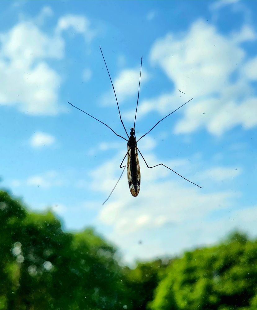 Photograph by Dmitrij Zykunov