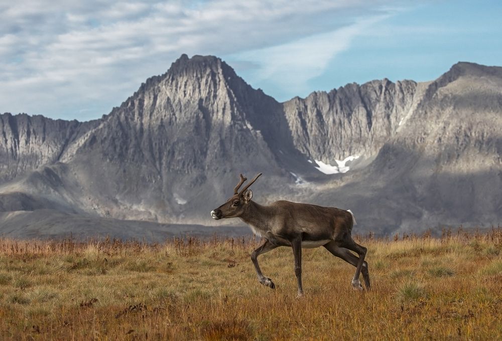 Photograph by Владислав Костылев