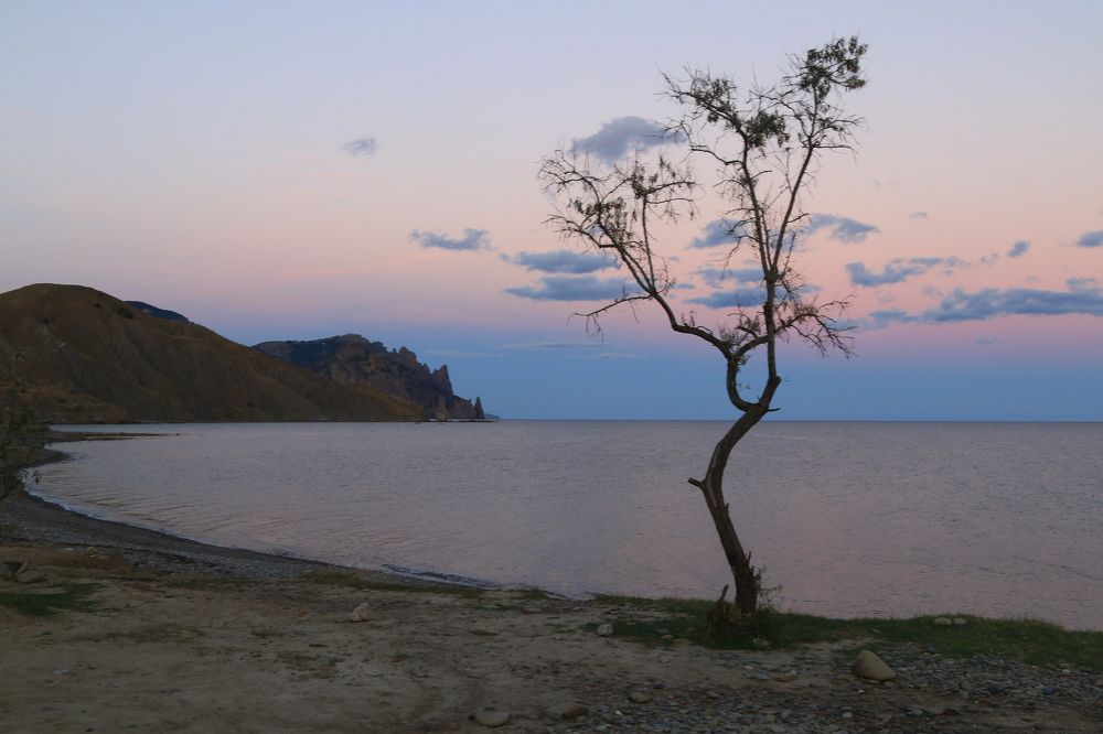 Photograph by 