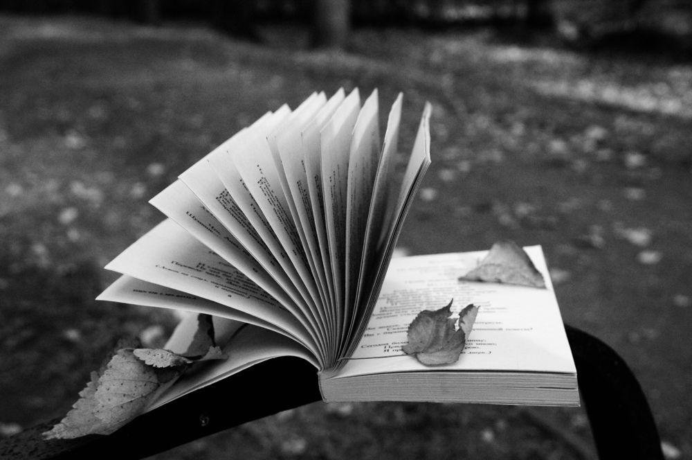 Photograph by Ирина