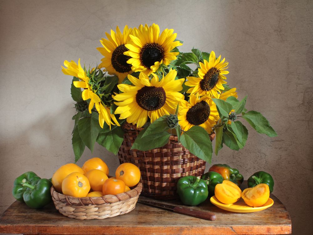 Фотография автора Ганина Галина