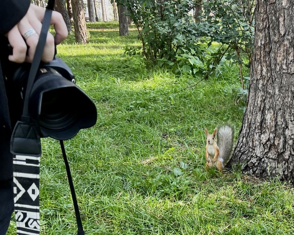 Photograph by Елена Мизина