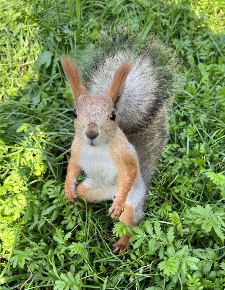 Photograph by Елена Мизина