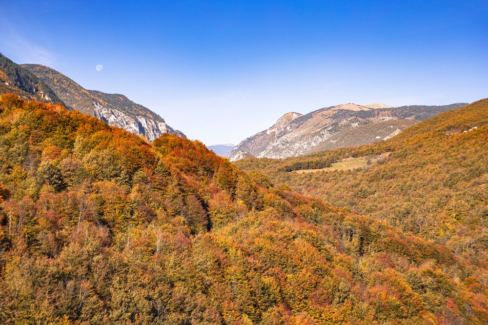 Photograph by Daniil