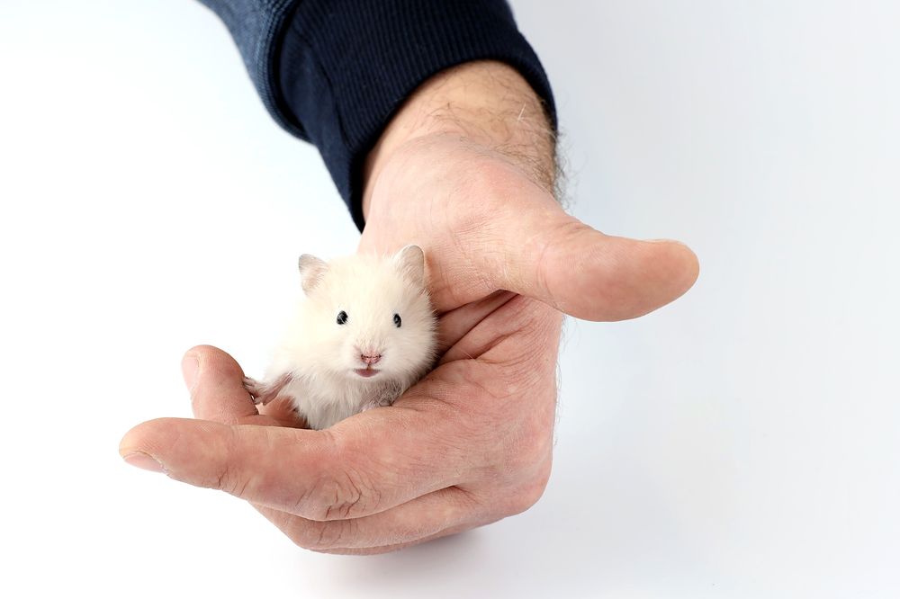 Photograph by Галина Фурсова