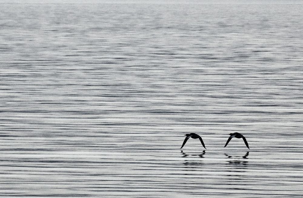 Photograph by Малика Маткарим