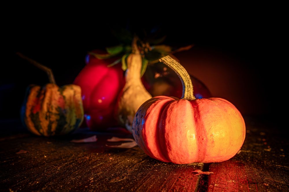 Photograph by Amelia Pardo