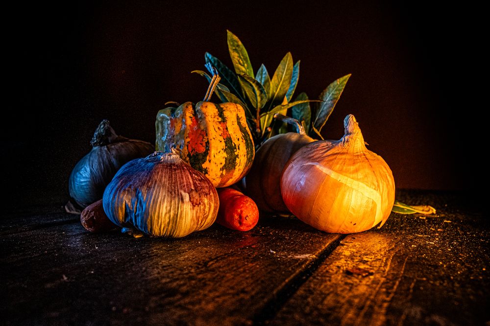 Photograph by Amelia Pardo