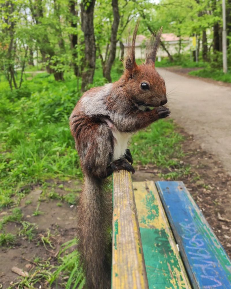 Photograph by Ирина Подосинникова